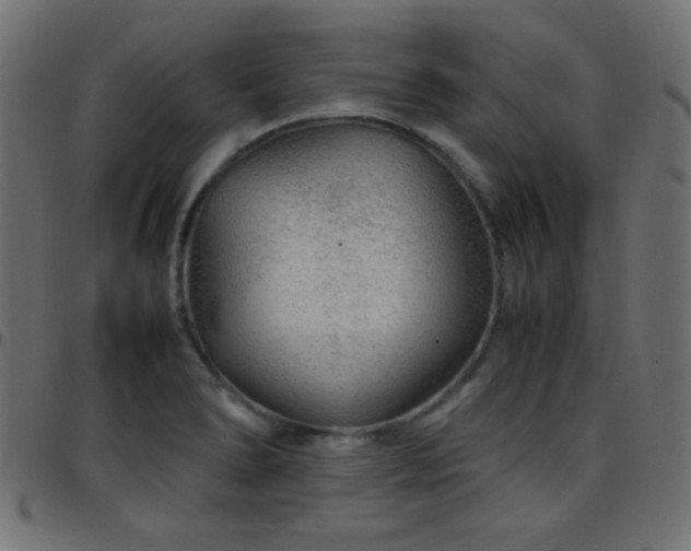 X0000097781278200803071341