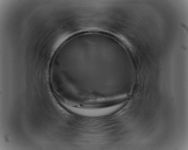 X0000097781279200803071341