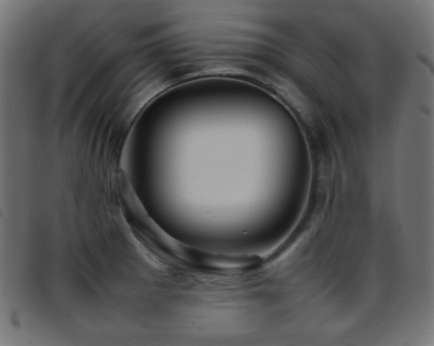 X0000097781281200803071341