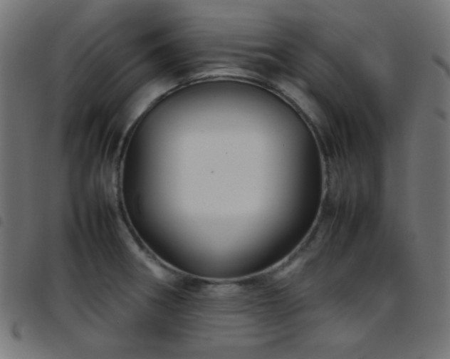 X0000097781282200803071341