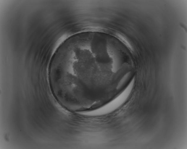 X0000097781283200803071341