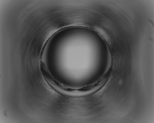 X0000097781284200803071341
