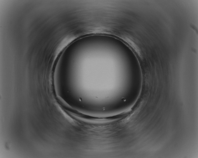 X0000097781285200803071341