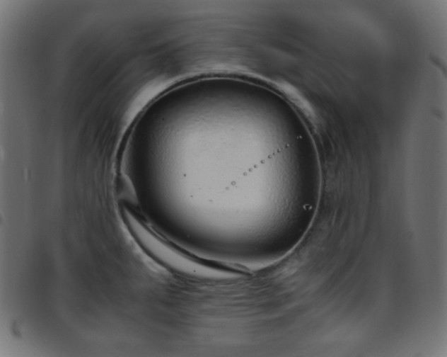 X0000097781287200803071341