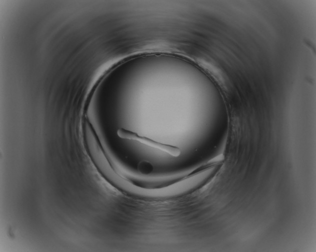 X0000097781288200803071341