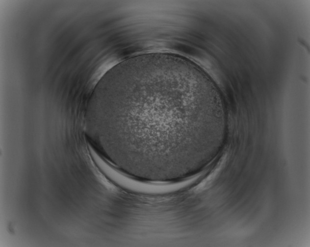 X0000097781289200803071341