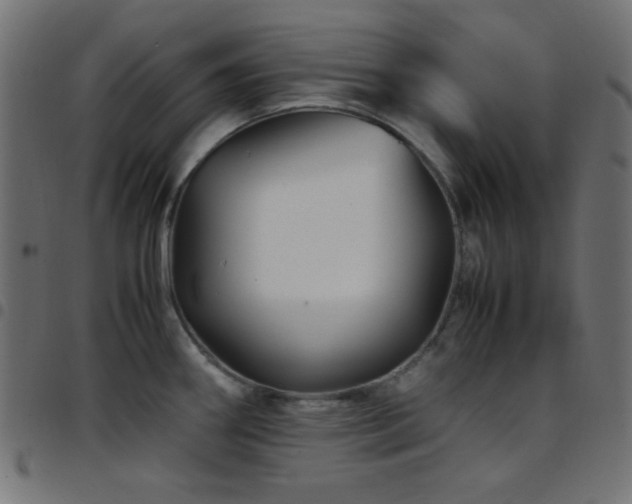 X0000097781290200803071341