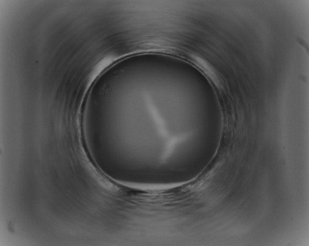 X0000097781291200803071341
