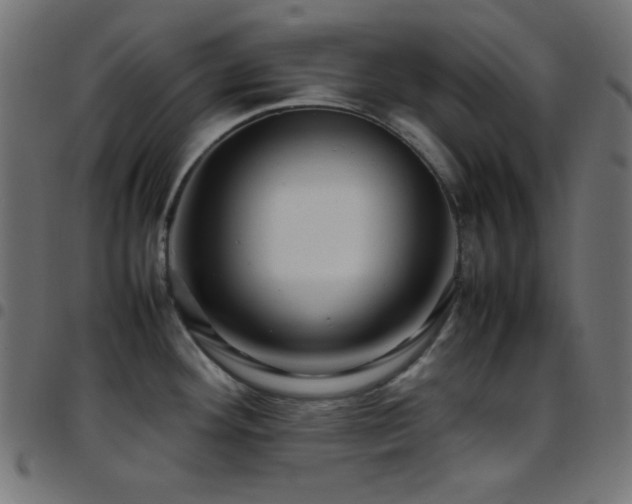 X0000097781292200803071341