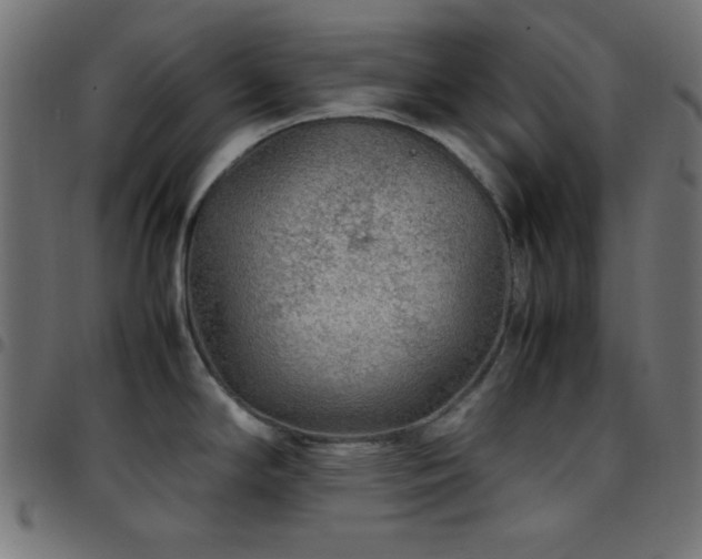 X0000097781294200803071341