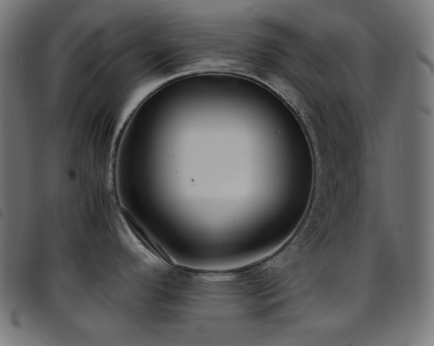 X0000097781296200803071341
