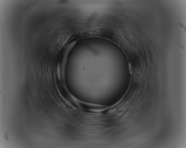 X0000097781298200803071340