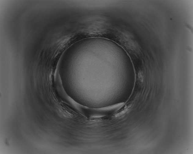 X0000097781300200803071340