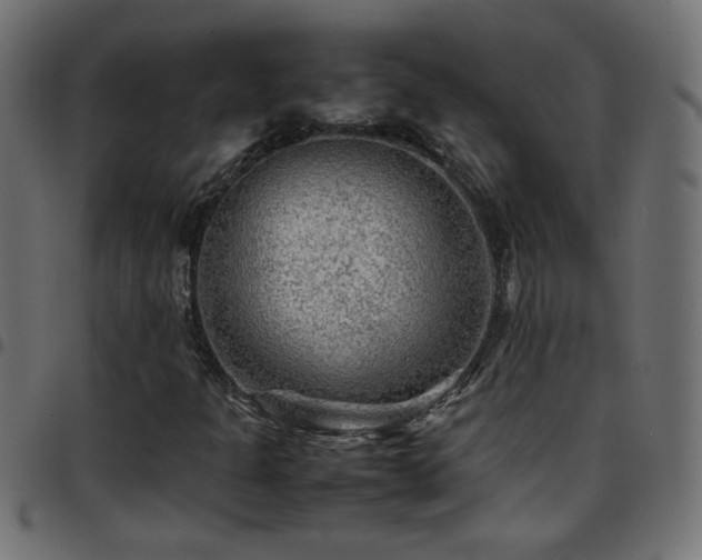 X0000097781301200803071340