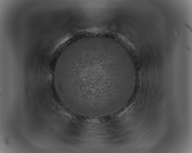 X0000097781302200803071340