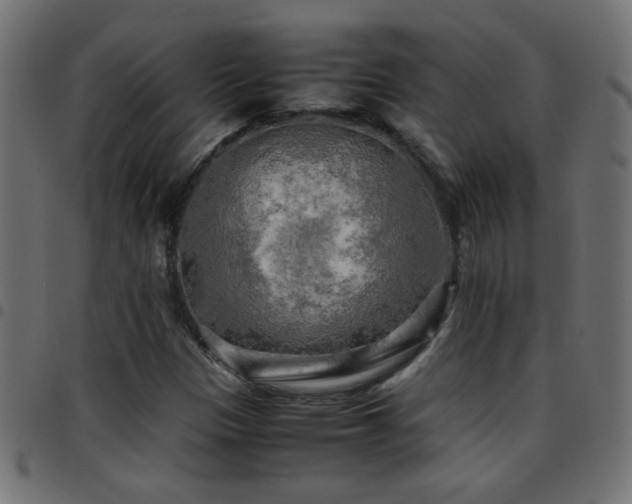 X0000097781305200803071340