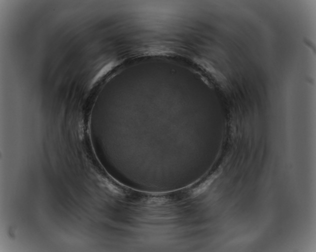 X0000097781306200803071340