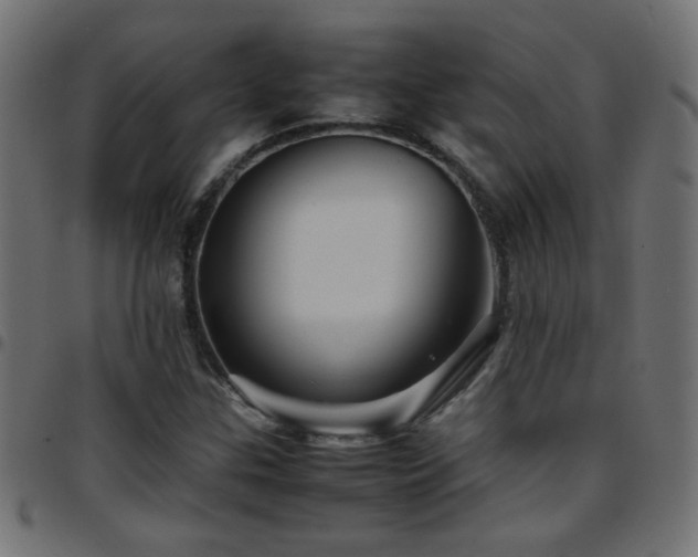 X0000097781307200803071340