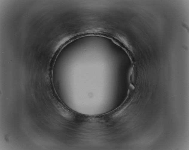 X0000097781308200803071340