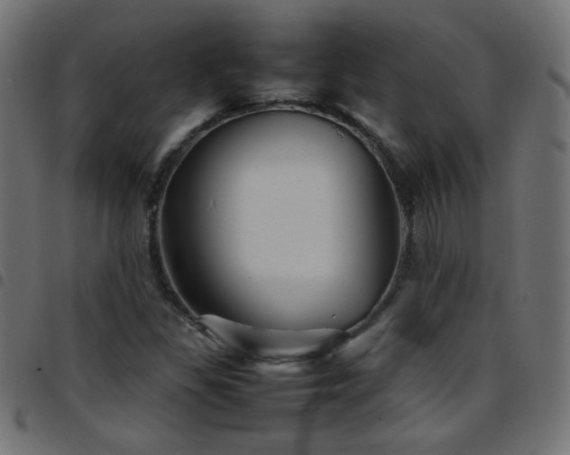 X0000097781309200803071340