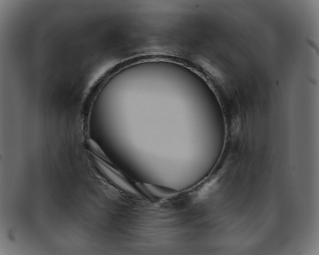 X0000097781310200803071340