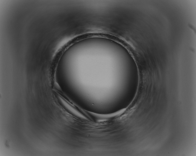 X0000097781311200803071340