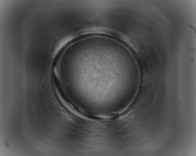 X0000097781312200803071340