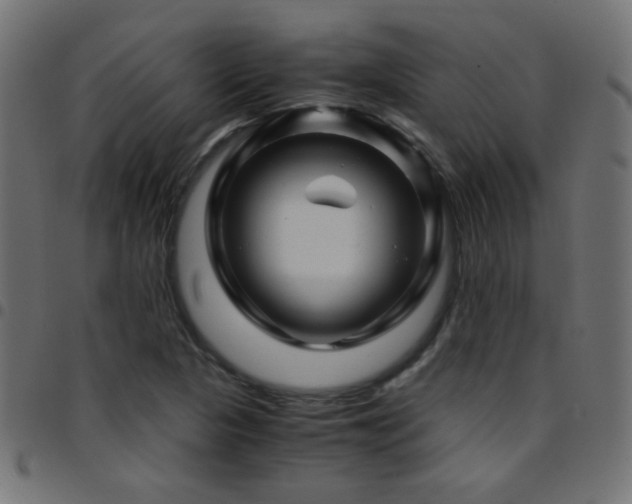 X0000097781313200803071340
