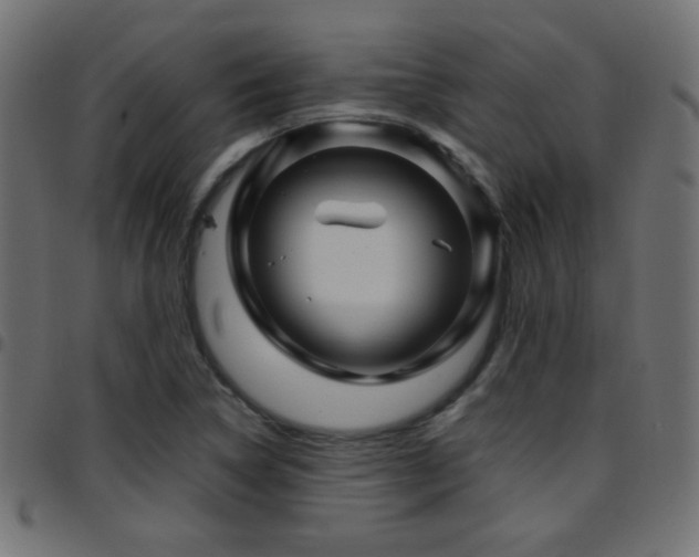 X0000097781314200803071340