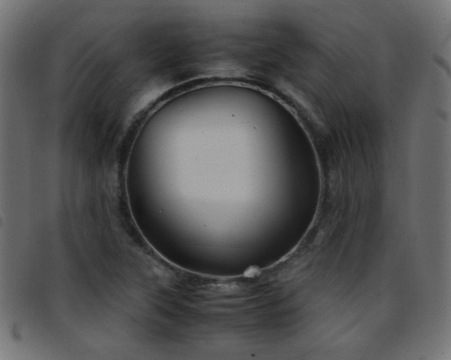 X0000097781315200803071340