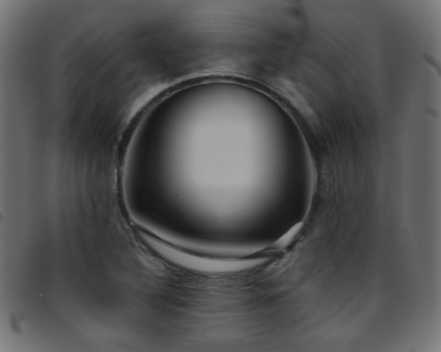 X0000097781316200803071340