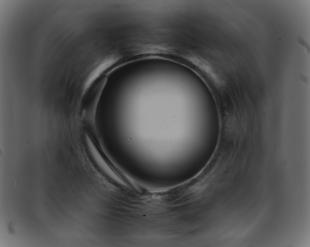 X0000097781317200803071340