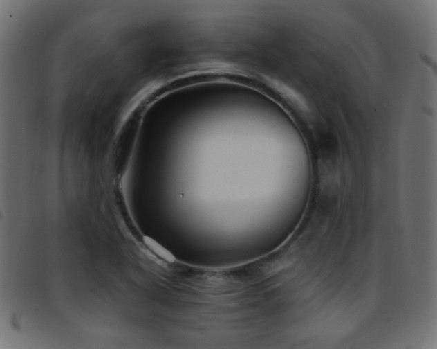 X0000097781318200803071340