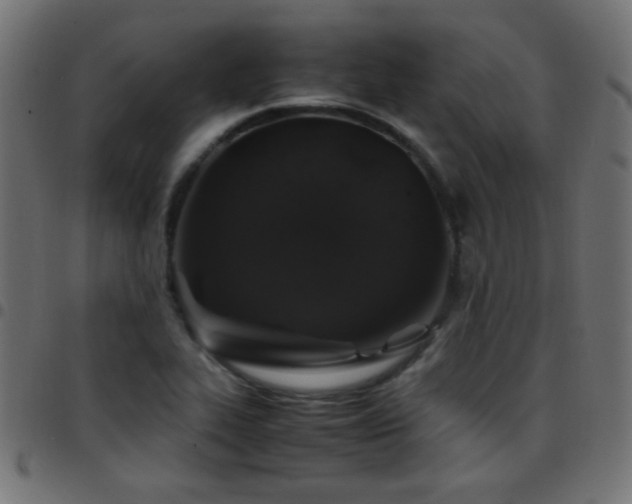 X0000097781319200803071341