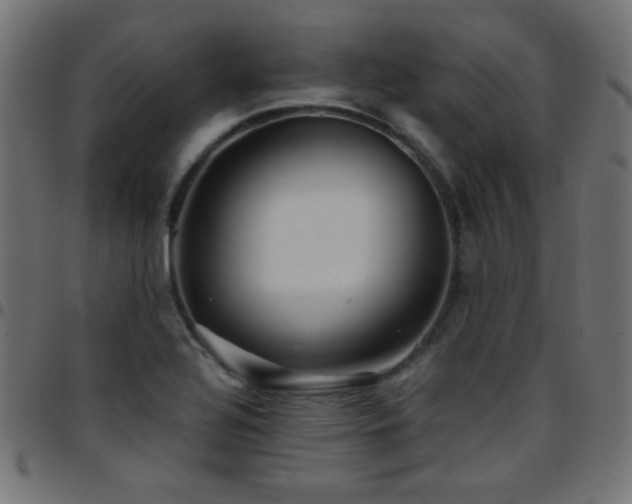 X0000097781320200803071341