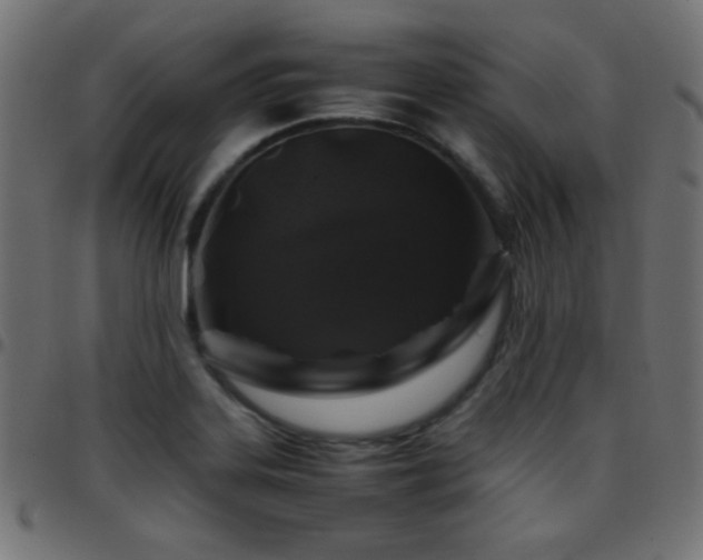 X0000097781323200803071341