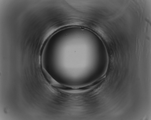 X0000097781324200803071341