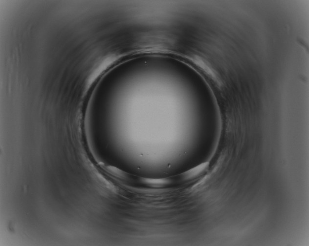 X0000097781325200803071341