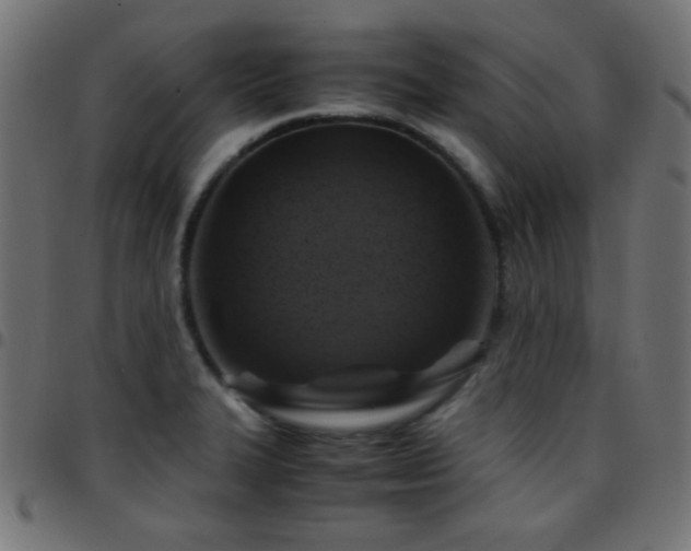 X0000097781327200803071341