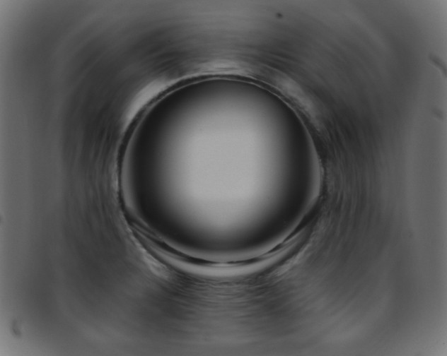 X0000097781328200803071341
