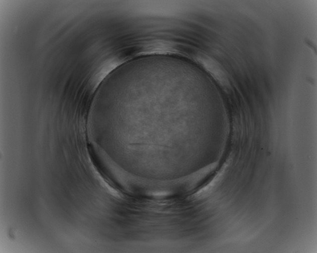 X0000097781329200803071341