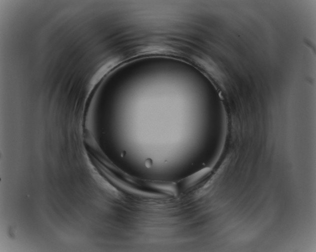 X0000097781330200803071341