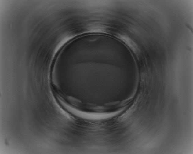 X0000097781331200803071341