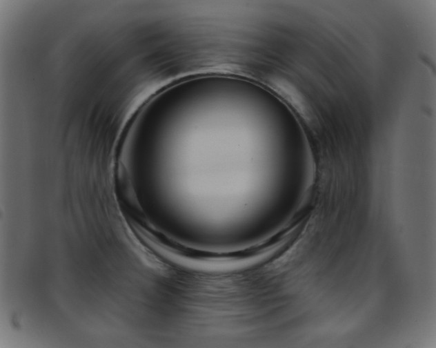 X0000097781332200803071341