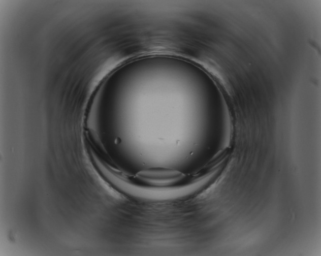X0000097781333200803071341