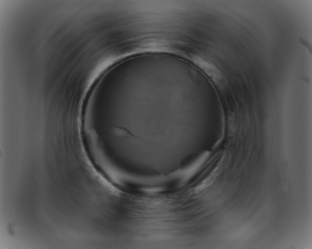 X0000097781334200803071341