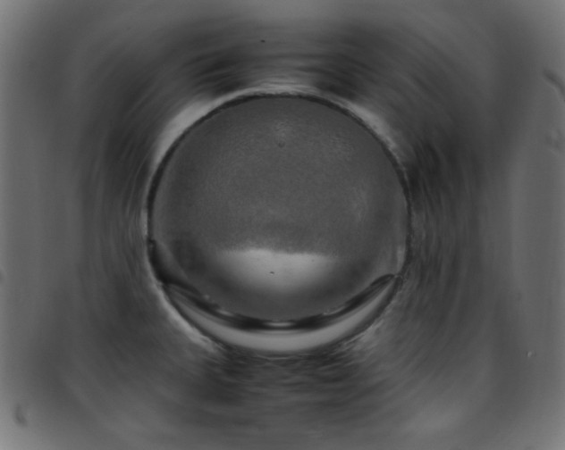 X0000097781335200803071341