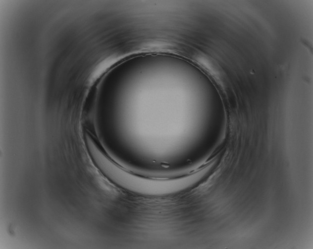 X0000097781336200803071341