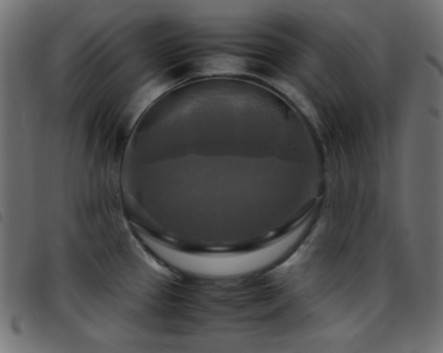 X0000097781337200803071341