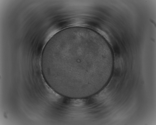 X0000097781338200803071341